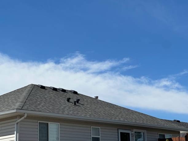 Asphalt Shingles Roofing in Olney, IL